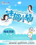 迷糊小仙封面