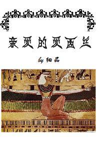 亲爱的爱西丝封面