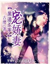 守护甜心之劫帘梦封面