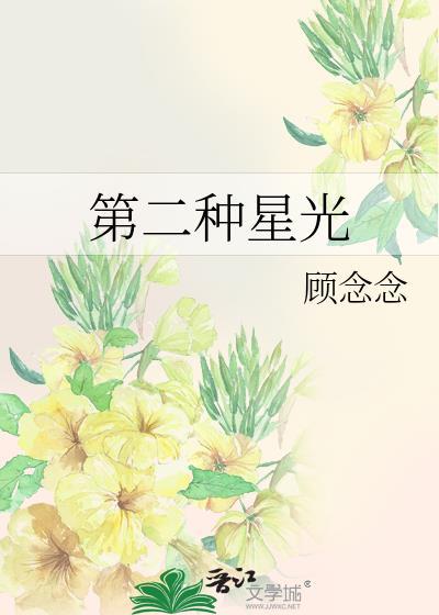 第二种星光封面