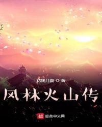 风林火山传封面