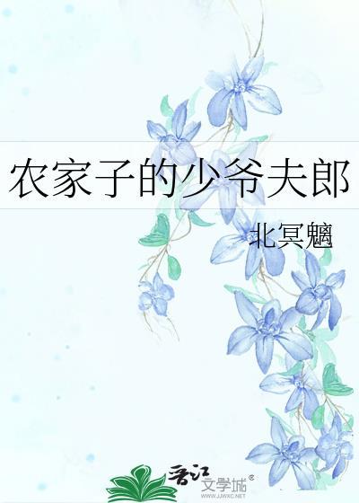 农家子的少爷夫郎封面