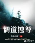 儒道独尊封面