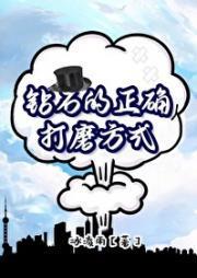 钻石的正确打磨方式封面