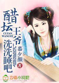 醋坛王爷,洗洗睡吧封面