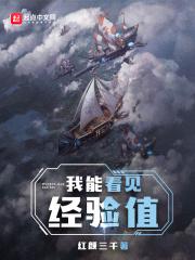 我能看见经验值封面
