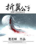 折翼公子封面