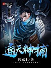 通天神捕封面