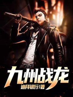 九州战龙封面