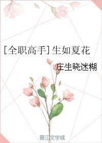 [全职高手]半夏笙歌封面