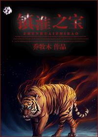 镇淮之宝封面