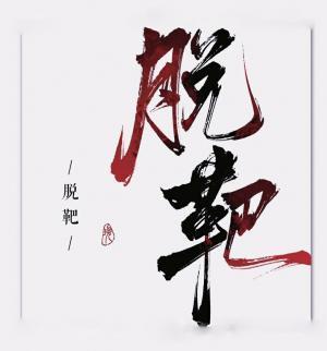 脱靶封面