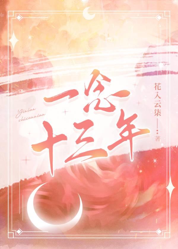 一念十三年封面