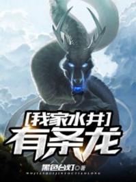 我家水井有条龙封面