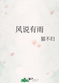 风说有雨封面