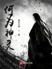 何为神灵封面