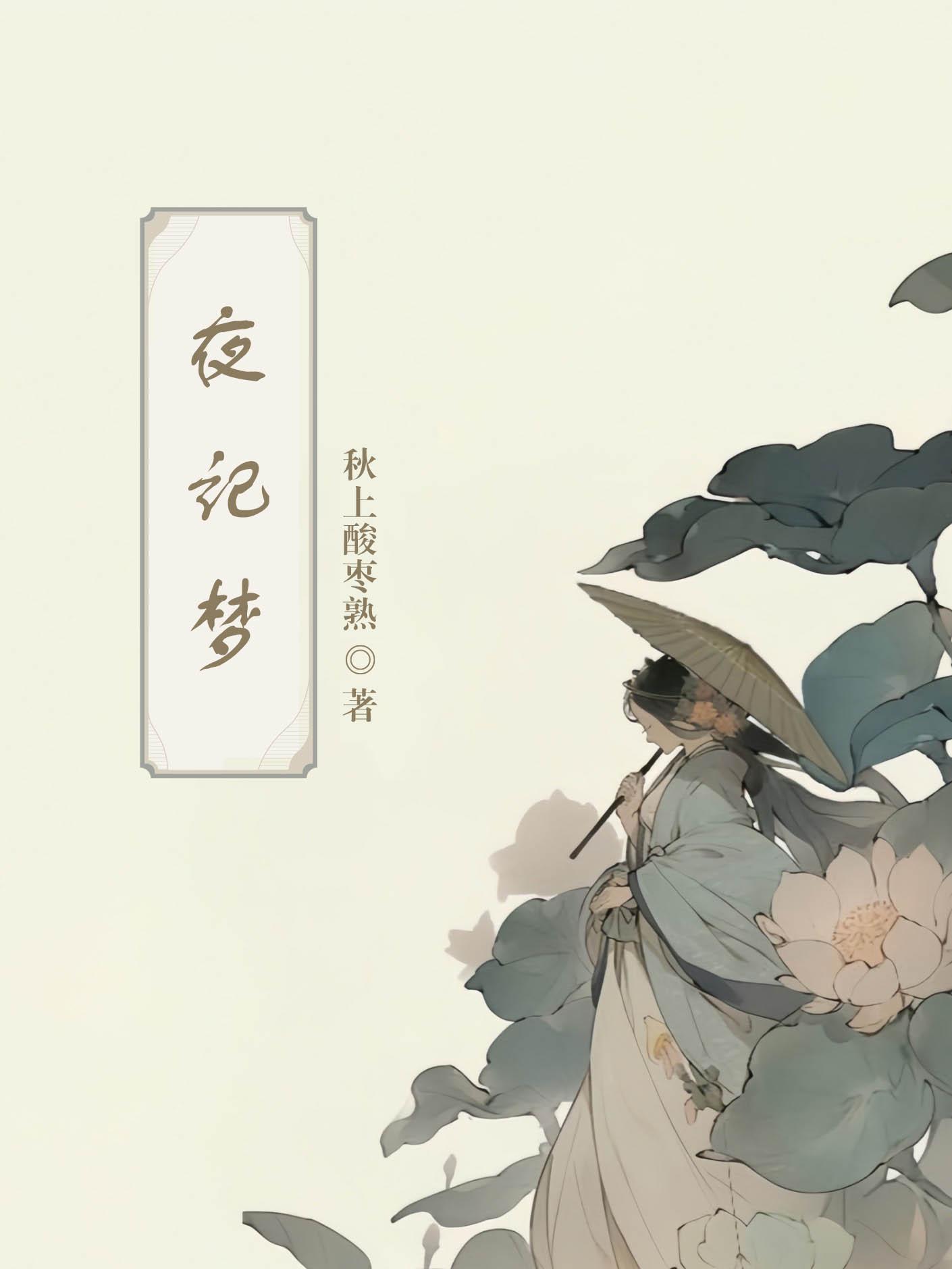夜记梦（双重生）封面