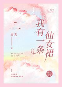 我有一条仙女裙封面
