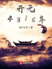 开元4316年封面