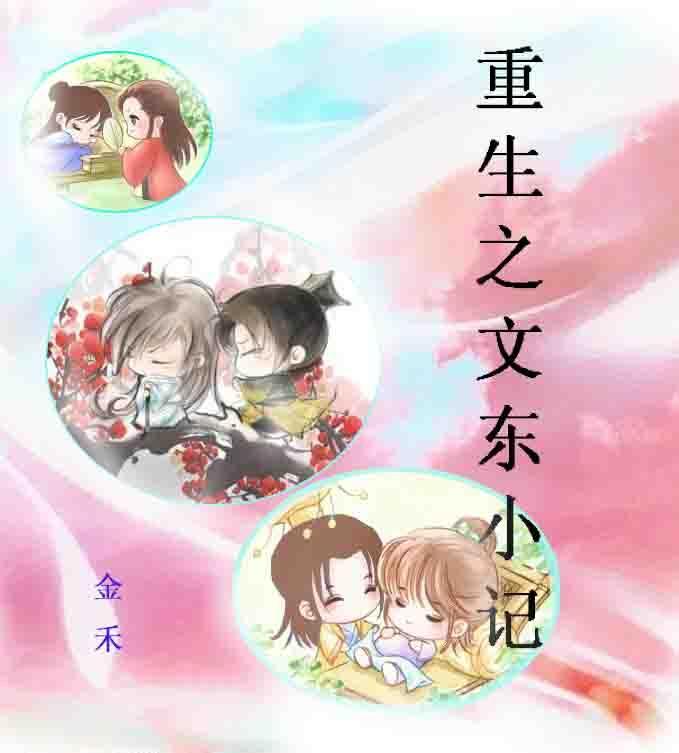 重生之文东小记封面