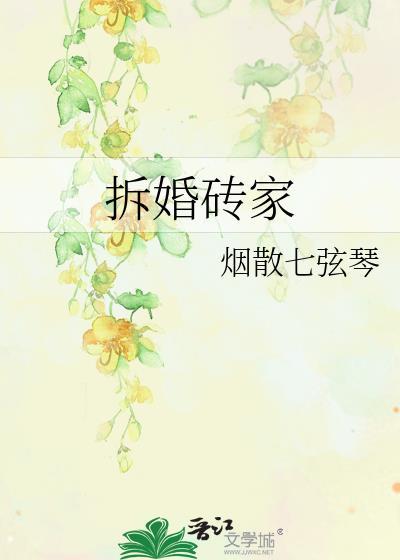 拆婚砖家封面