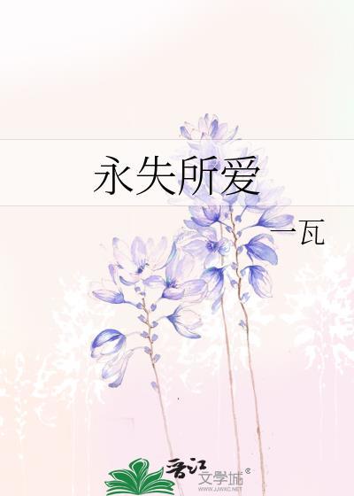 永失所爱封面