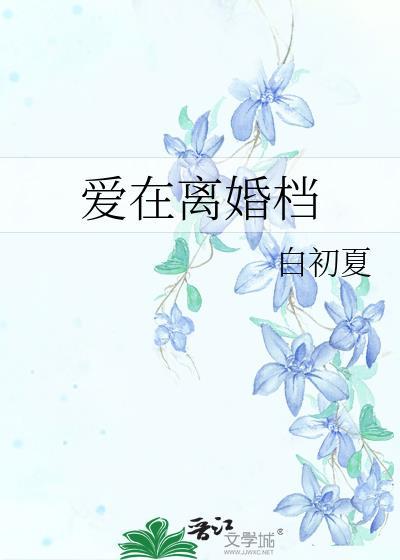 爱在离婚檔封面