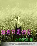 如若只是初见封面