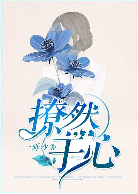 撩然于心封面