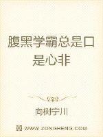 腹黑学霸总是口是心非封面