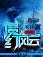 魔幻风云2封面