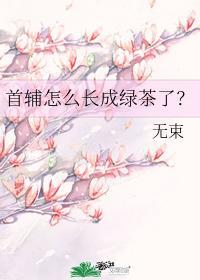 首辅怎么长成绿茶了？封面