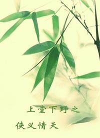 侠义情天封面