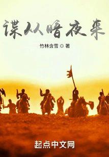 谍从暗夜来封面