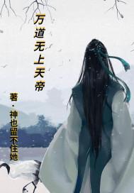 万道无上天帝封面