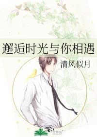 邂逅时光与你相遇封面