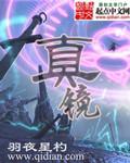 真镜封面