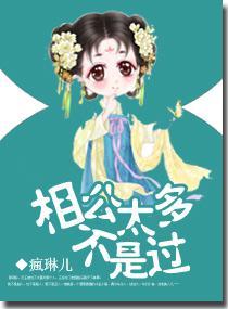 相公太多不是过封面