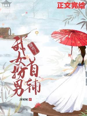 我女扮男掰弯了首辅封面