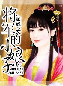 将军的小娘子封面
