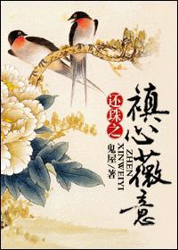 还珠之禛心薇意封面