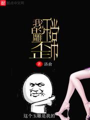 我的玉雕不正常封面