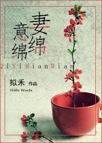 妻意绵绵封面