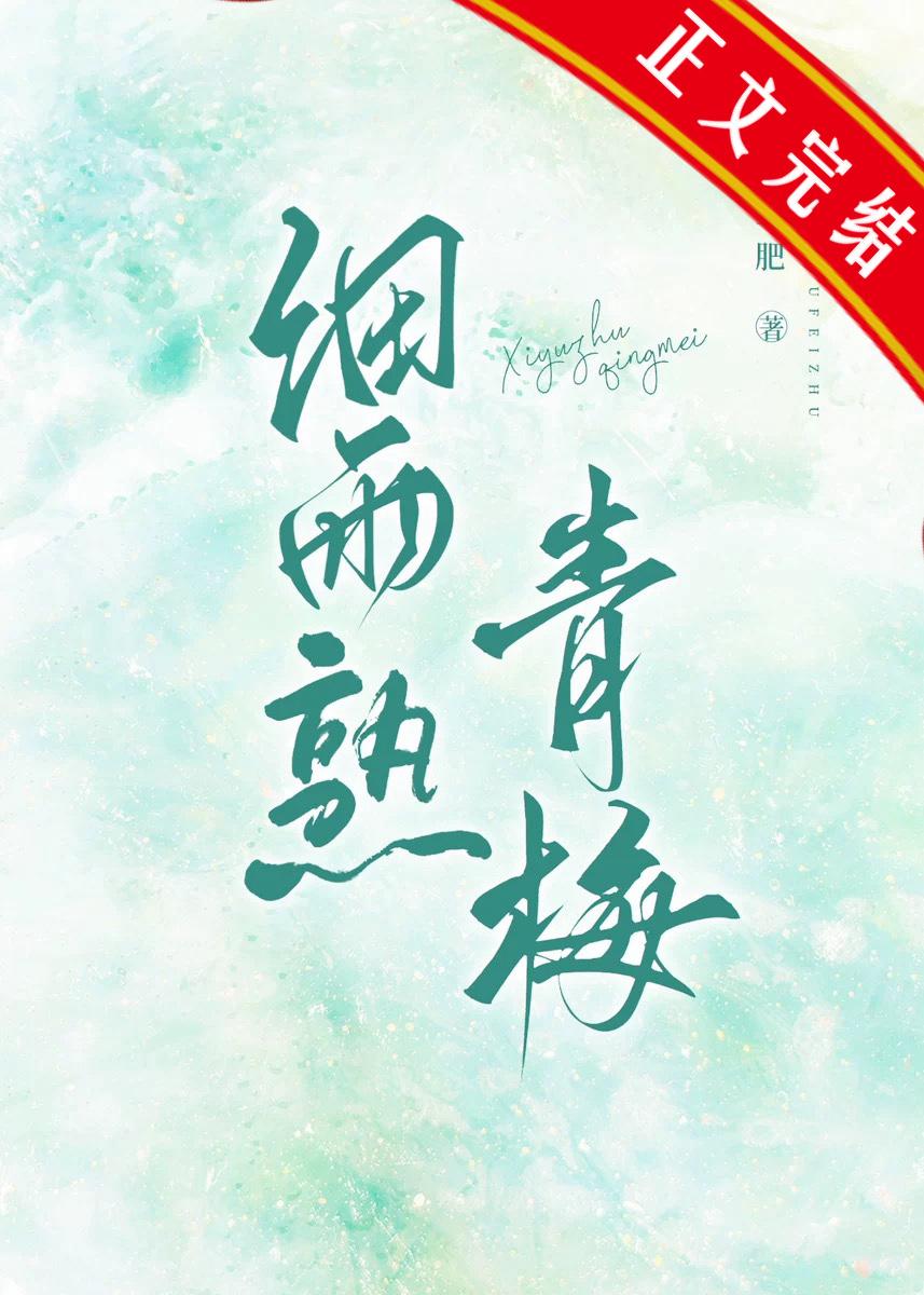 细雨熟青梅封面
