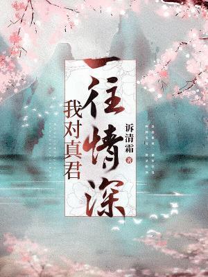 我对真君一往情深封面