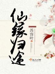 仙缘归途封面