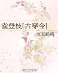 雀登枝[古穿今]封面