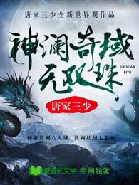 神澜奇域无双珠神澜奇域圣耀珠封面