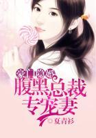 豪门隐婚：腹黑总裁专宠妻封面