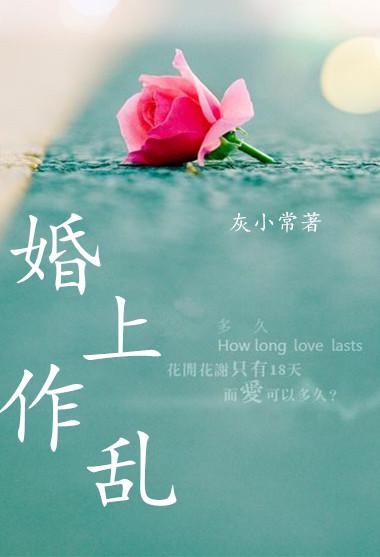婚上作乱封面